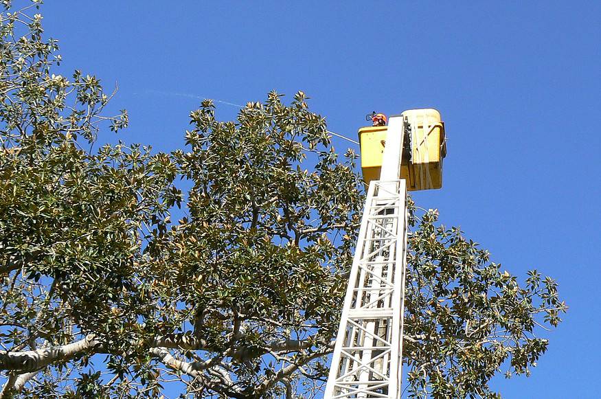 Cherry picker